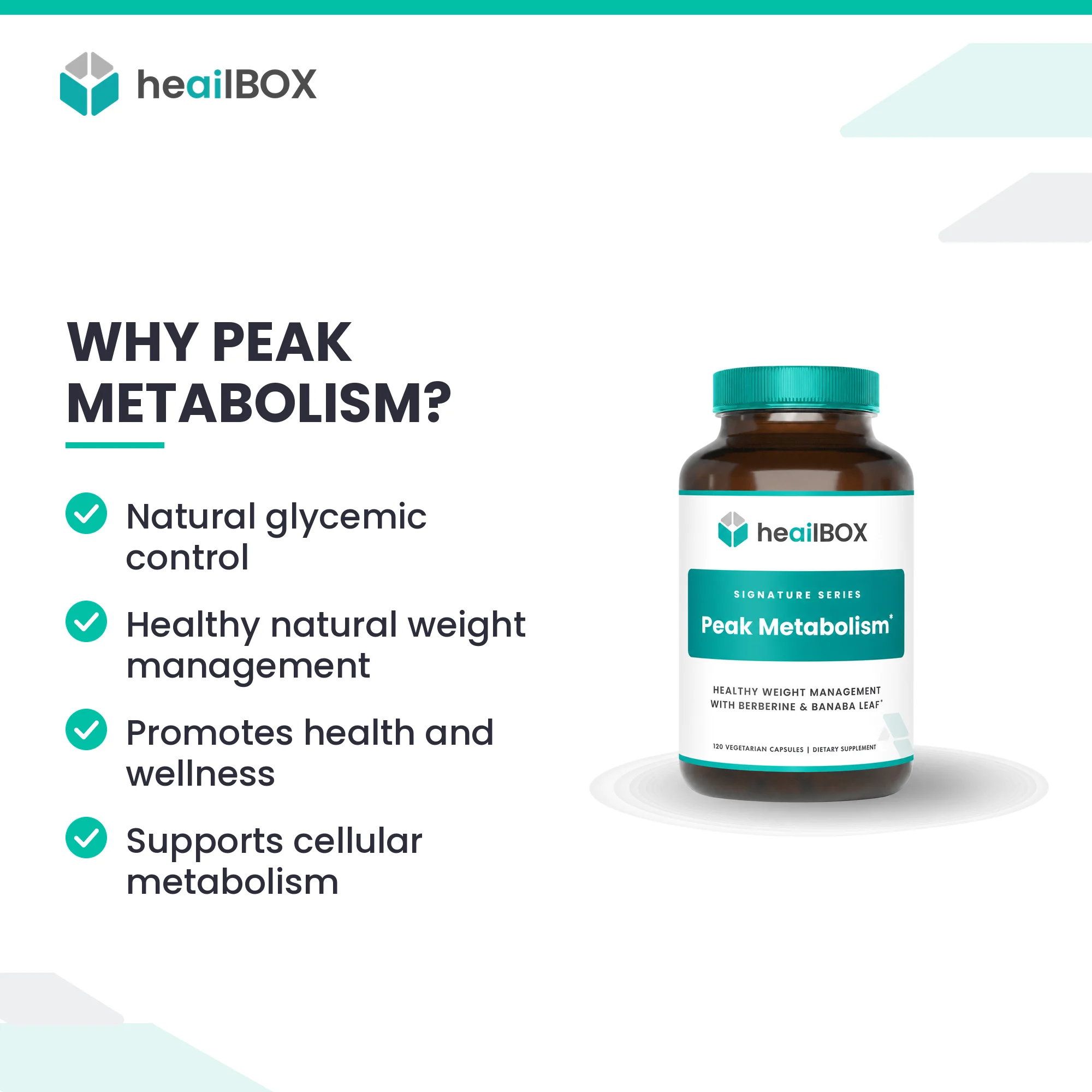 Peak Metabolism Gallery Image 1